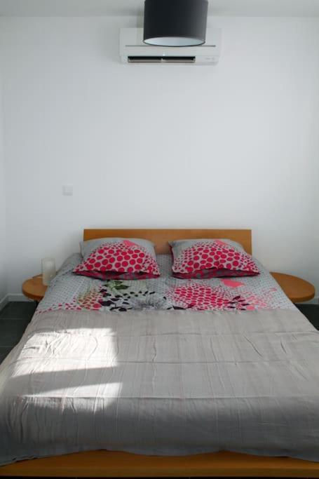 Appart Dans Maison 2 Km De La Plage Villeneuve-Loubet Extérieur photo